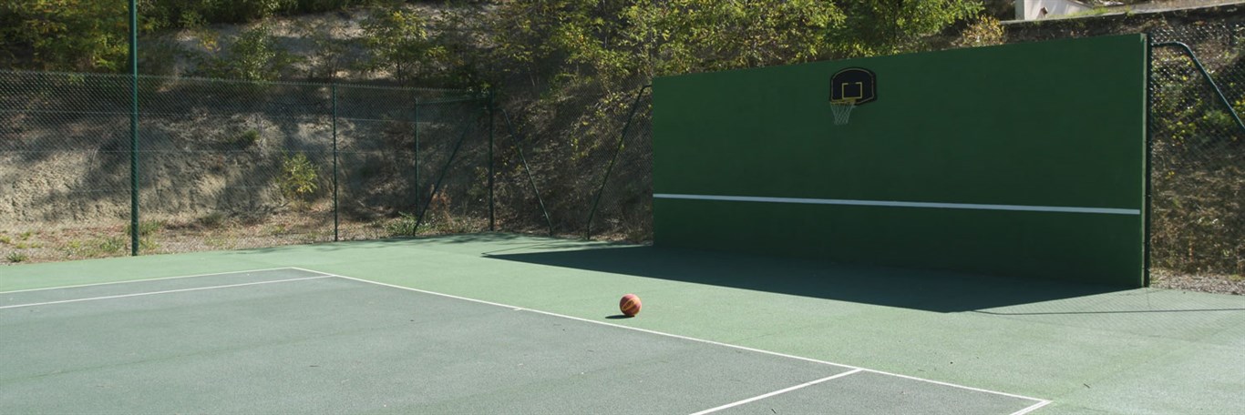 Basket Ball & Cricket